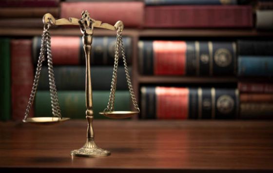 プログラム画像