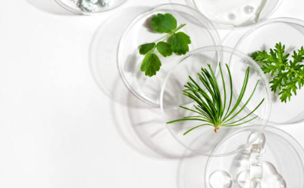 プログラム画像